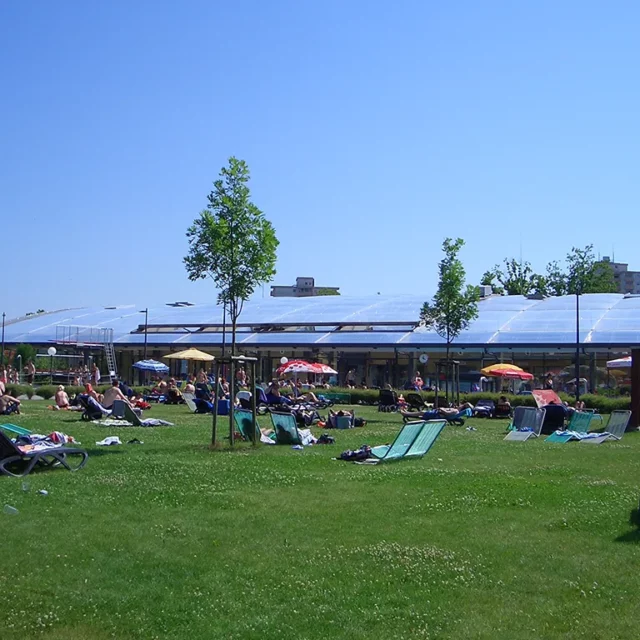 mehrere Personen liegen auf Strandtüchern oder Liegen auf der Liegewiese