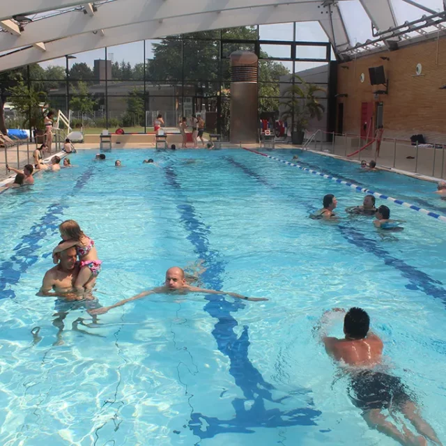 mehrere Schwimmer im Sportbecken