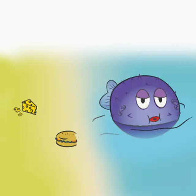 Fisch beobachtet Käse und Sandwich auf zweigeteiltem Hintergrund.